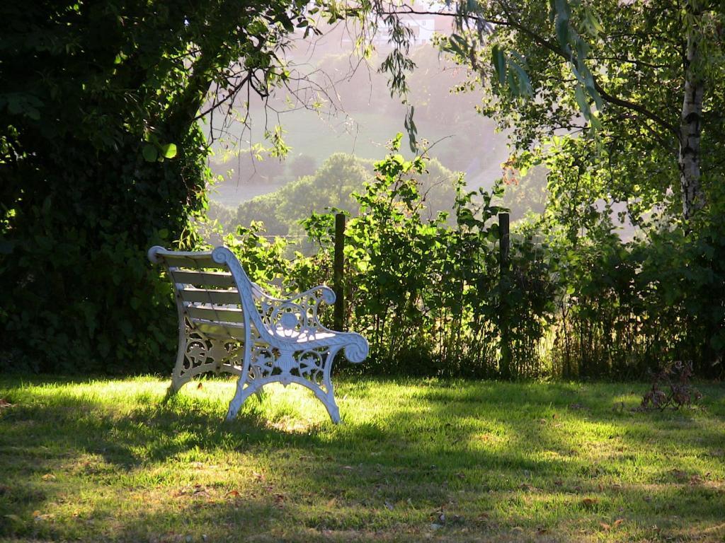 B&B Aux Beaux Buis Blegny Экстерьер фото